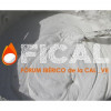 Fórum Ibérico de la Cal. FICAL_VII